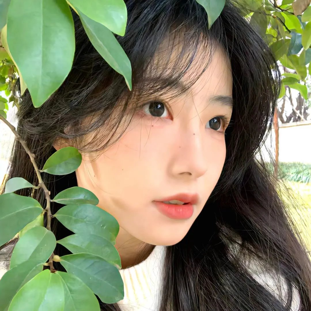 大人物拿破仑